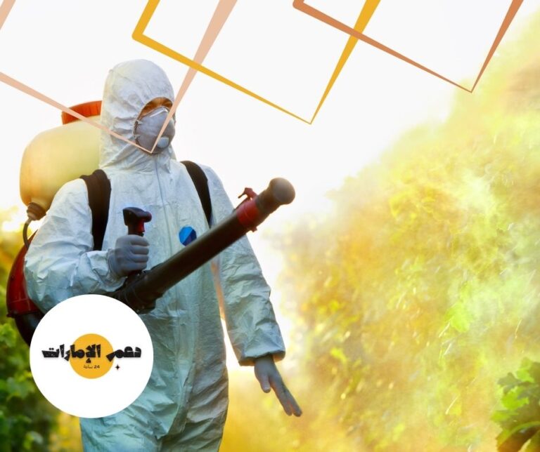 شركة مكافحة حشرات في راس الخيمة