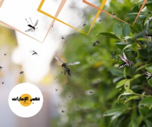 شركة مكافحة الباعوض
